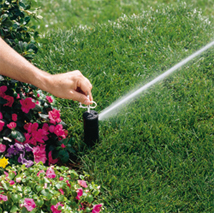 sprinkler1.jpg