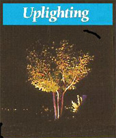 uplight.jpg