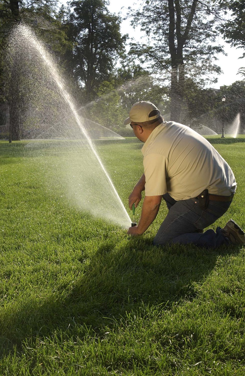 Lawn Sprinklers Wilcox Bros.